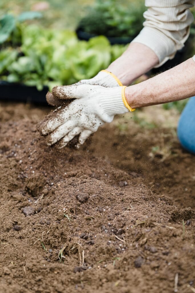 Jardinage