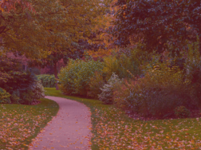 Jardinage | Avis & Commentaires | Tout à Dom Services - Tourcoing