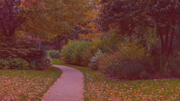 Jardinage | Avis & Commentaires | Vivaservices - Caen