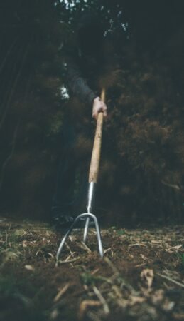 Quels outils indispensables avoir dans son abri de jardin